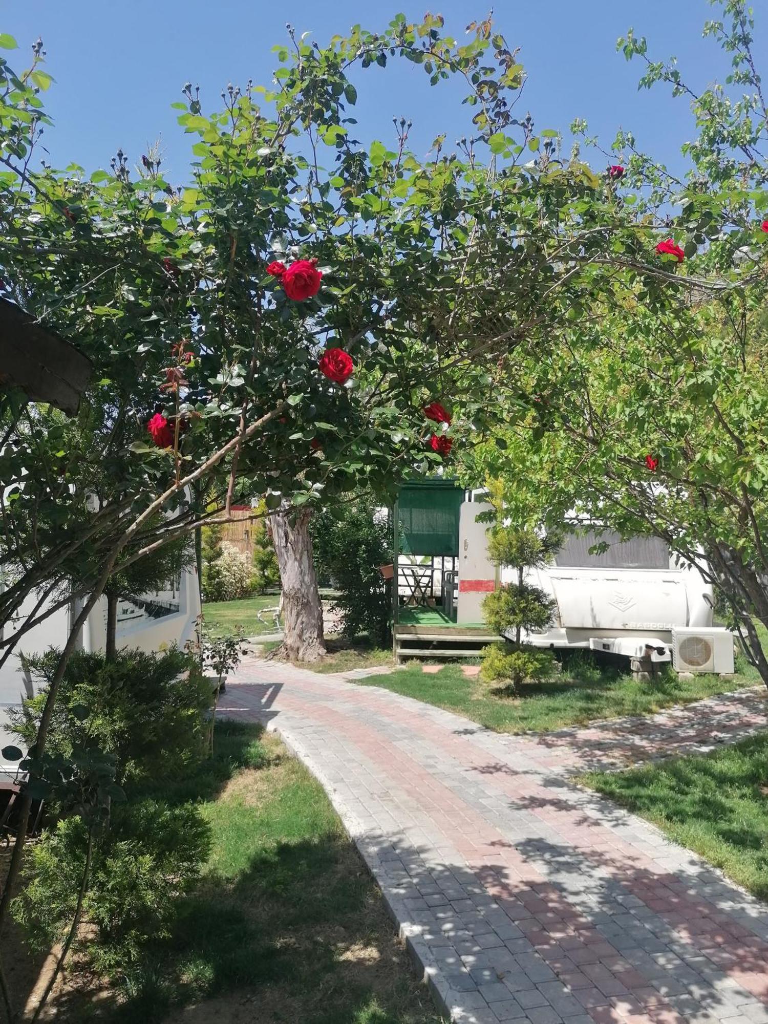 Oba Beach Hotel Oludeniz Bagian luar foto
