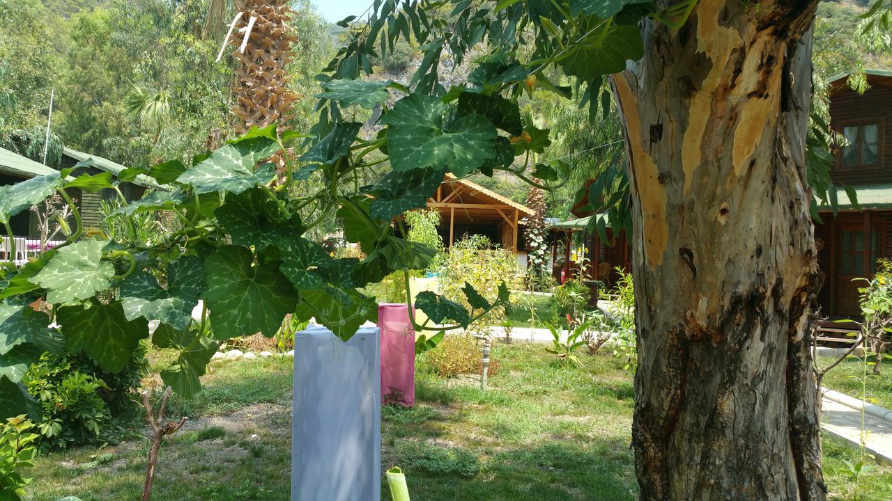 Oba Beach Hotel Oludeniz Bagian luar foto