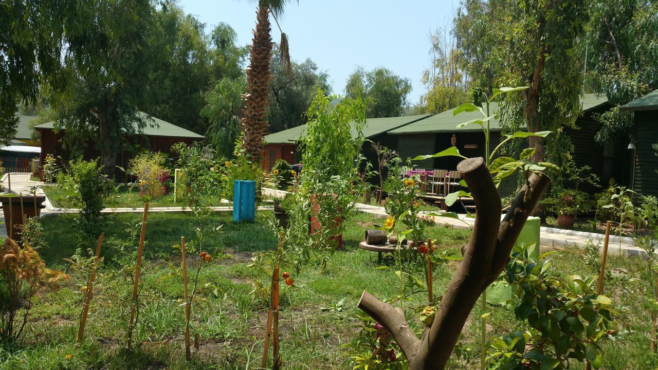 Oba Beach Hotel Oludeniz Bagian luar foto