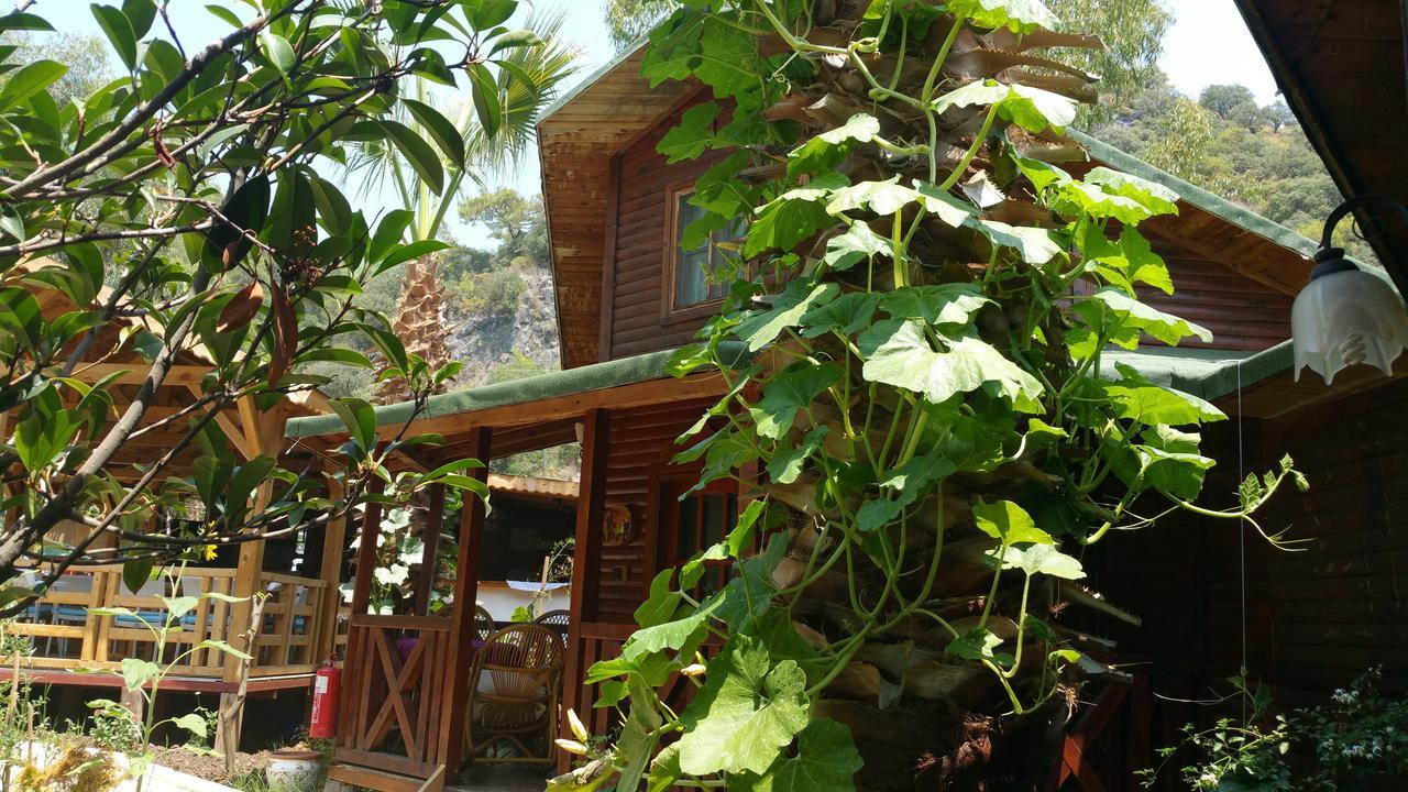Oba Beach Hotel Oludeniz Bagian luar foto