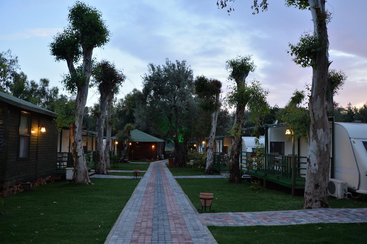 Oba Beach Hotel Oludeniz Bagian luar foto