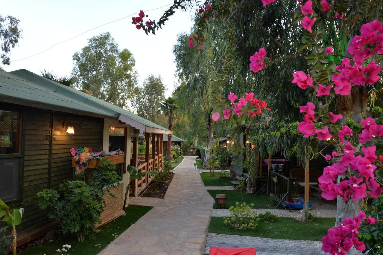 Oba Beach Hotel Oludeniz Bagian luar foto